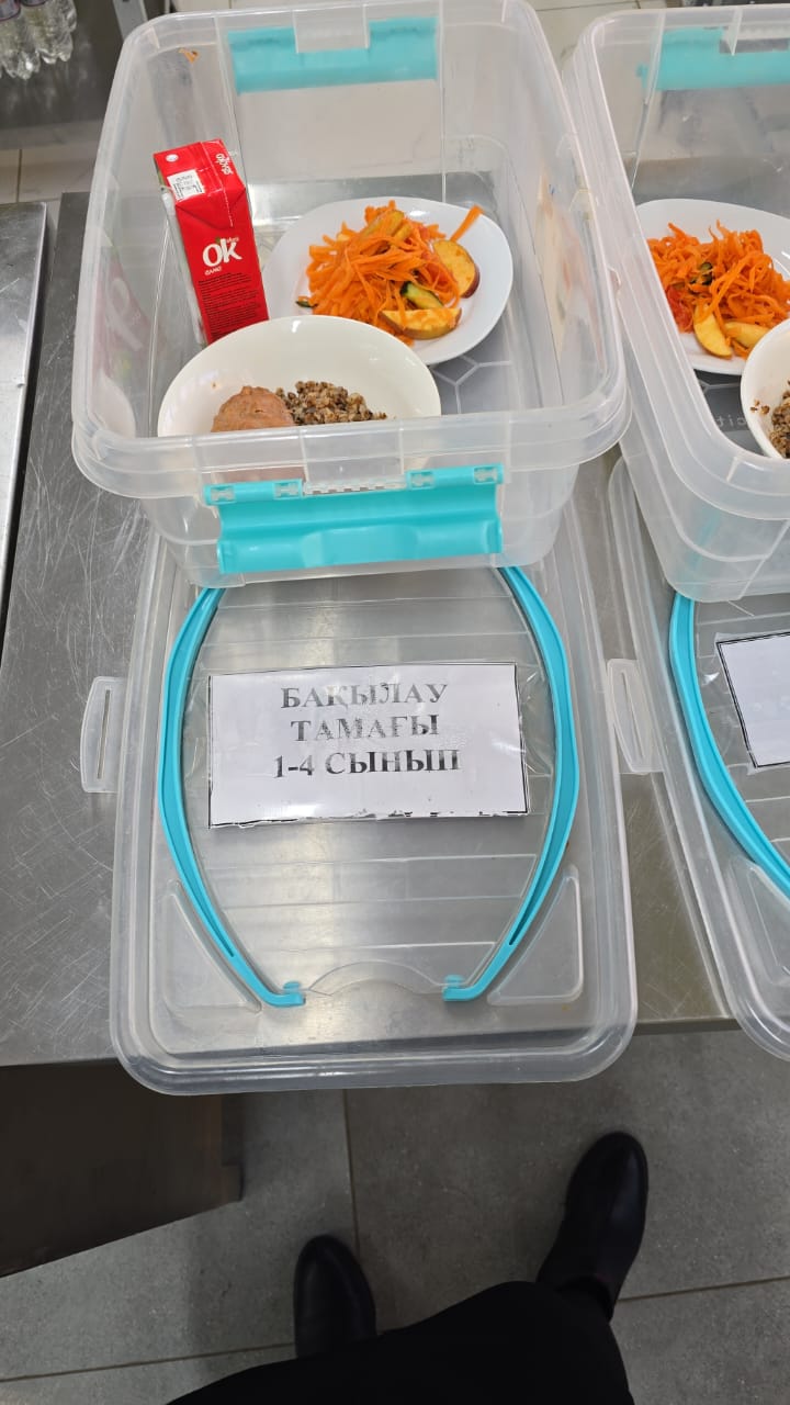 Тамақтандыру