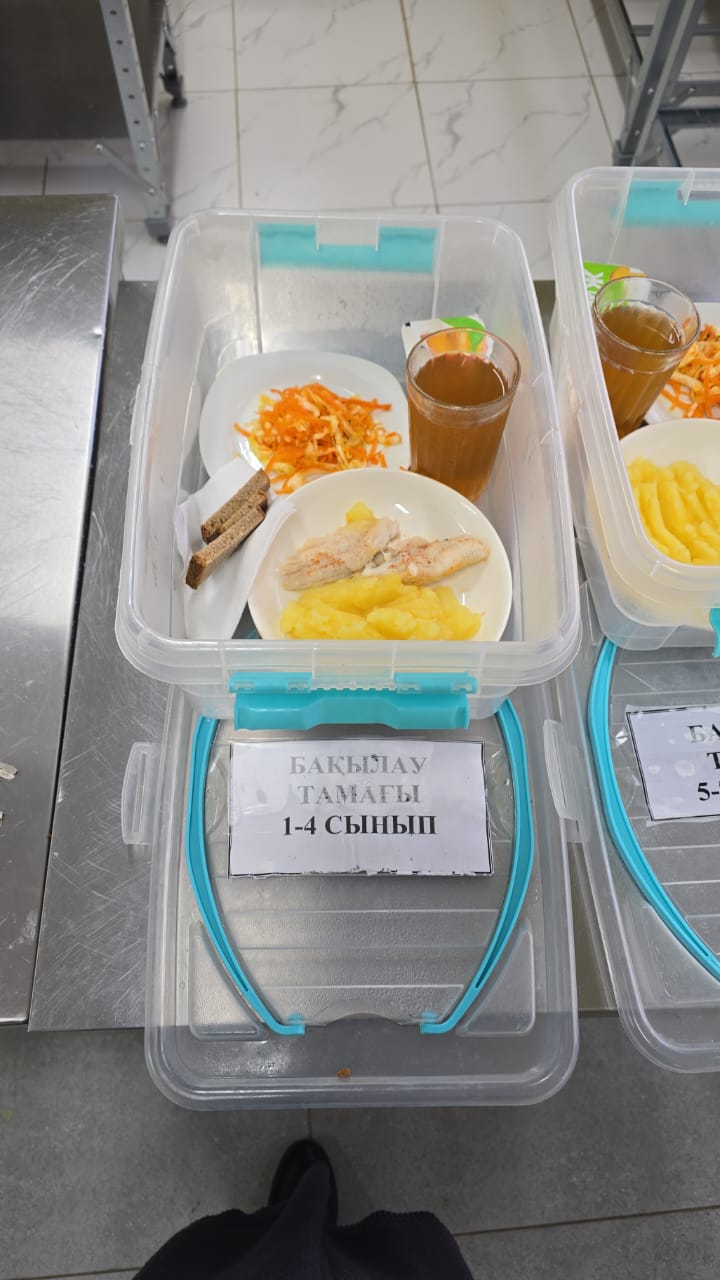 Тамақтандыру