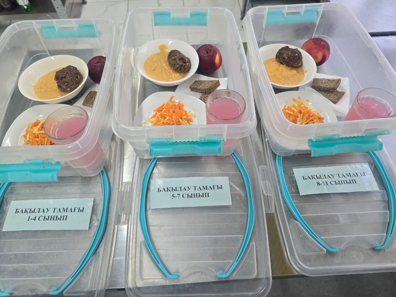 Тамақтандыру