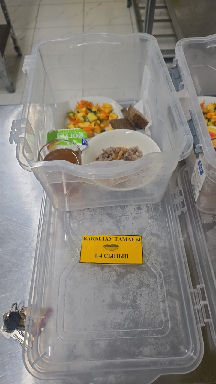 Тамақтандыру